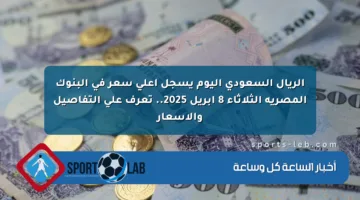 الريال السعودي اليوم يسجل أعلى سعر في البنوك المصرية الثلاثاء 8 أبريل 2025.. تعرف على التفاصيل والأسعار